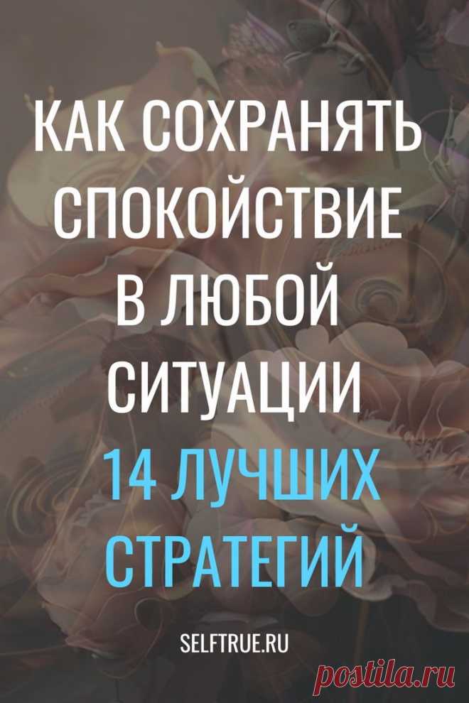 Изображение пина-истории