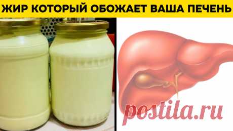Какой жир обожает ваша печень и поджелудочная, но о нём почти никто не говорит? Секрет, который спрятан на виду | Игорь Ботоговский | Дзен
