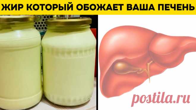 Какой жир обожает ваша печень и поджелудочная, но о нём почти никто не говорит? Секрет, который спрятан на виду | Игорь Ботоговский | Дзен