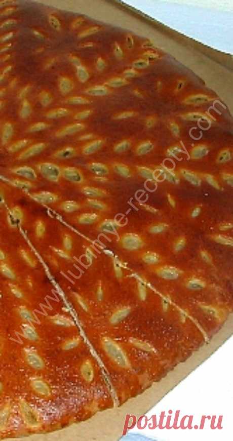 «Rieser Bauerntorte» — традиционный баварский пирог | Любимые рецепты