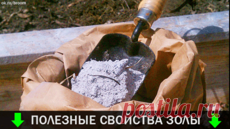 (7) Одноклассники