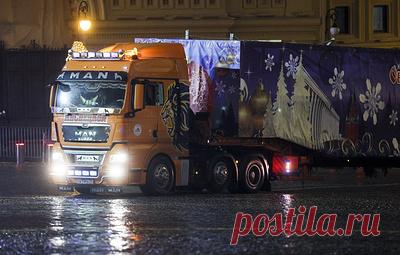 Главную новогоднюю ель России доставят в Кремль. Дереву 95 лет, его высота - 27 метров, диаметр ствола - 56 см, размах веток - 10 метров