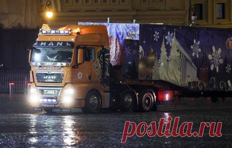 Главную новогоднюю ель России доставят в Кремль. Дереву 95 лет, его высота - 27 метров, диаметр ствола - 56 см, размах веток - 10 метров