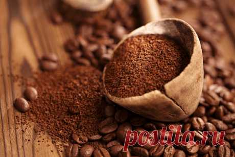 8 эко-способов вторичного использования кофейной гущи - Секреты.нет