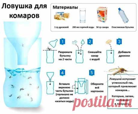 Фотографії на стіні спільноти | 45 030 фотографій