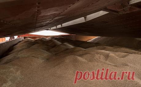 Шойгу обсудил с турецким министром обороны зерновую сделку. Министр обороны России Сергей Шойгу провел переговоры с турецким коллегой Хулуси Акаром.