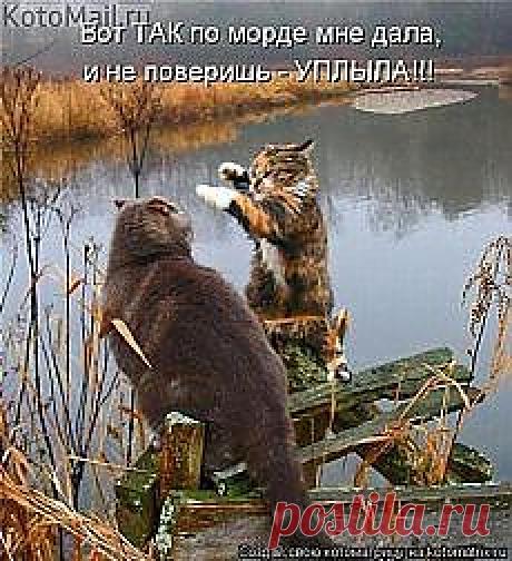 мамочки в декрете, студенты, пенсионеры и ВСЕ, кому нужны деньги!!! Предлагаю работу НА ДОМУ. От 2-х часов в день! Всё официально, без вложений. Кому интересно ставьте + в кoмментaриях, вышлю информацию!