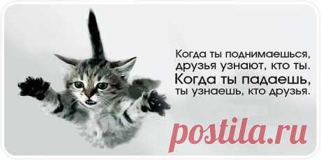 Истина