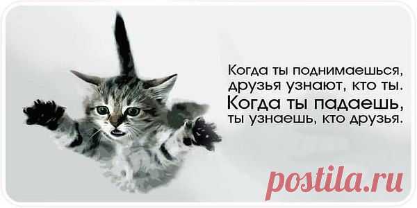 Истина