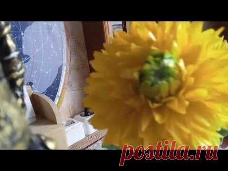 Мастер - Класс. БОЛЬШАЯ ХРИЗАНТЕМА ИЗ ПОЛИЭТИЛЕНОВЫХ ПАКЕТОВ.