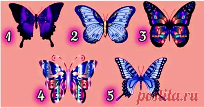 Тест: выберите бабочку и узнаете, какие черты характера делают вас сильнее
Здравствуйте Уважаемые подписчики и гости канала. Для Вас мы приготовили еще один интересный психологический тест по картинкам. Тест, в котором вам предстоит выбрать бабочку, поможет выявить скрытые особенности вашей личности. Бабочка всегда олицетворяла собой бессмертие и новое начало. Она рождается гусеницей, но,...
Читай дальше на сайте. Жми подробнее ➡