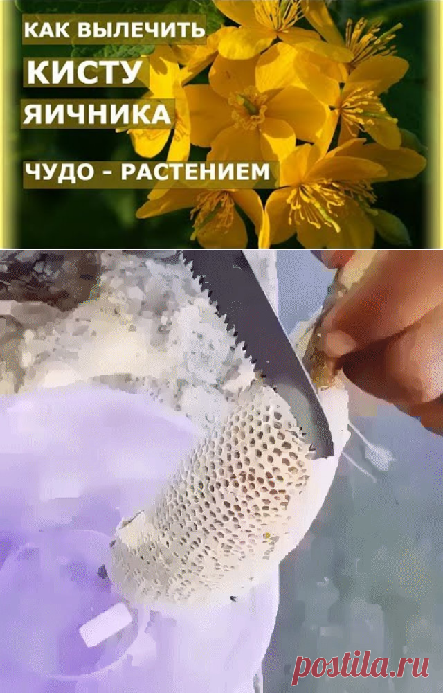 (4) Одноклассники