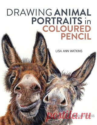 Drawing Animal Portraits in Coloured Pencil 2022