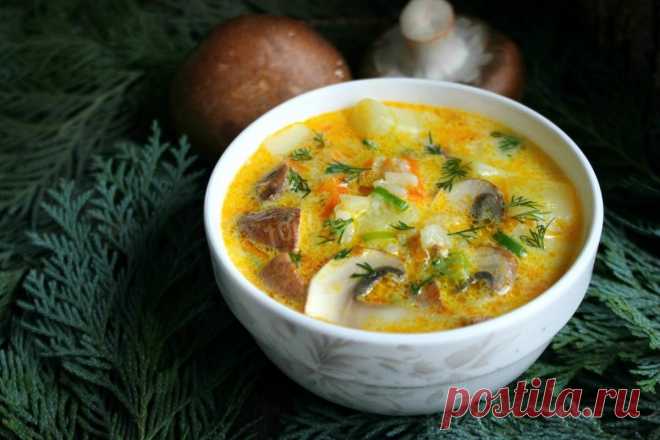 Рецепт грибного супа и 5 секретов приготовления блюд с грибами | Коте Оганезов | Дзен