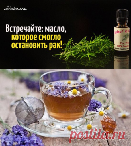 (68) Одноклассники