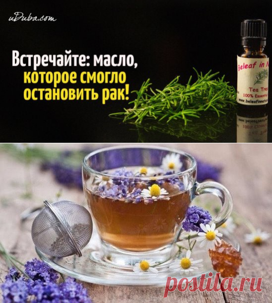 (68) Одноклассники