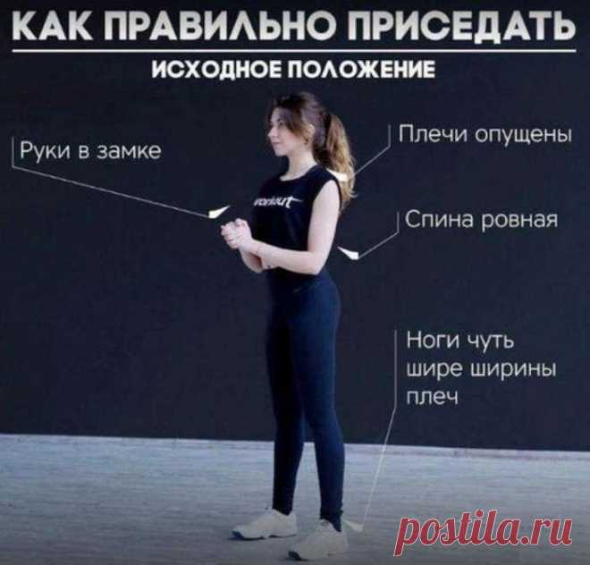 Приседания это залог вашего здоровья