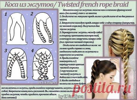 жгут