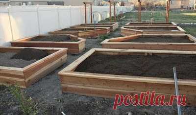 Создаем поднятую грядку своими руками 


Для садоводов уже давно не секрет, что поднятые (высокие) грядки имеют массу преимуществ над классическими грядками. Однако многие ошибочно считают, что создание таких грядок не только трудоемкое, …