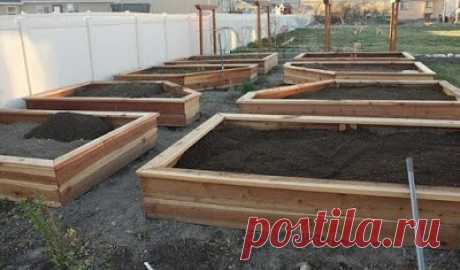 Создаем поднятую грядку своими руками
Для садоводов уже давно не секрет, что поднятые (высокие) грядки имеют массу преимуществ над классическими грядками. Однако многие ошибочно считают, что создание таких грядок не только трудоемкое, …