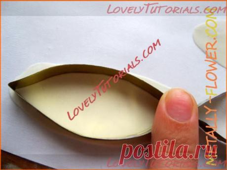 лилия,lily,lilie,giglio,lirio - Страница 4 - Мастер-классы по украшению тортов Cake Decorating Tutorials (How To's) Tortas Paso a Paso