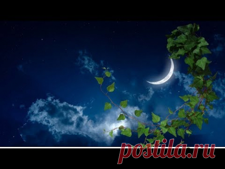 Лунный календарь и растения. Работаем с растениями по лунному календарю .