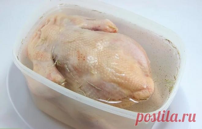 По совету подруги начала замачивать мясо в соленой воде. Рассказываю, в чем преимущество этого способа | Мой сад и огород | Яндекс Дзен