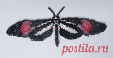 Heliconius erato phyllis | biser.info - всё о бисере и бисерном творчестве