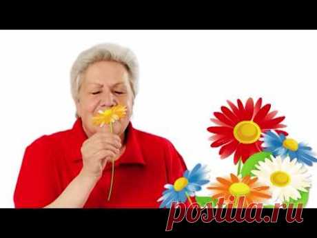 Голова садовая - Работа над ошибками. ТОМАТЫ