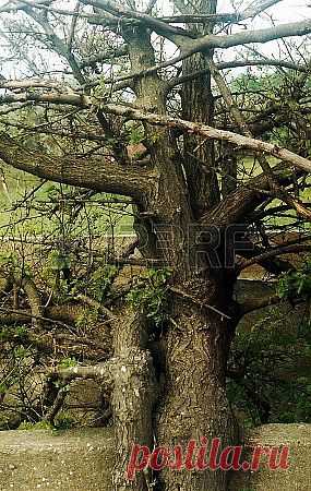 комбинации Фотография, картинки, изображения и сток-фотография без роялти. Image 24629289.