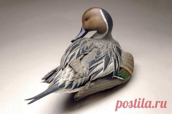 Seu auge, Longo Passado, Escultura em Madeira de Vida Selvagem pretende ampliar seu apelo | Audubon