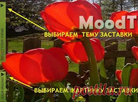 Расслабляемся:много заставок,не только увидеть их,но и услышать.ЗДЕСЬ--- https://click-relax.com/?lng=ru
