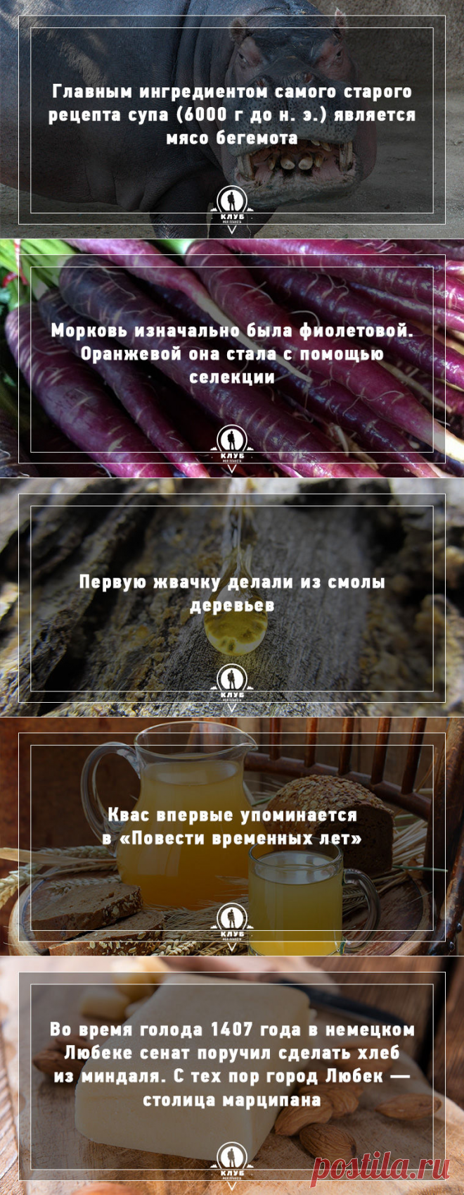 10 фактов о происхождении еды / Путешествия / Моя Планета