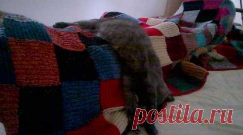 Хвостик - на подушке, на простынке - ушки!