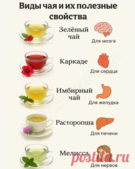 ВИДЫ ЧАЯ И ИХ ПОЛЕЗНЫЕ СВОЙСТВА