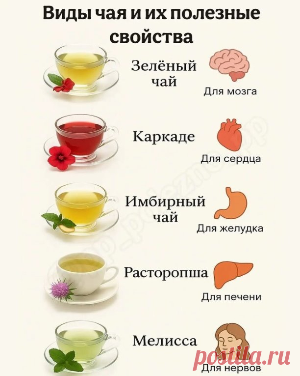 ВИДЫ ЧАЯ И ИХ ПОЛЕЗНЫЕ СВОЙСТВА