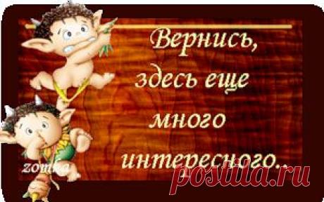 Любовь = жизнь - Стихи Губермана