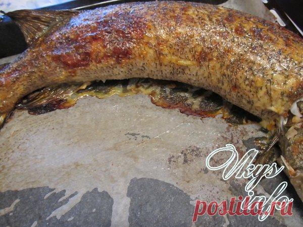 Запеченная фаршированная щука в духовке: 2 пошаговых рецепта с фото