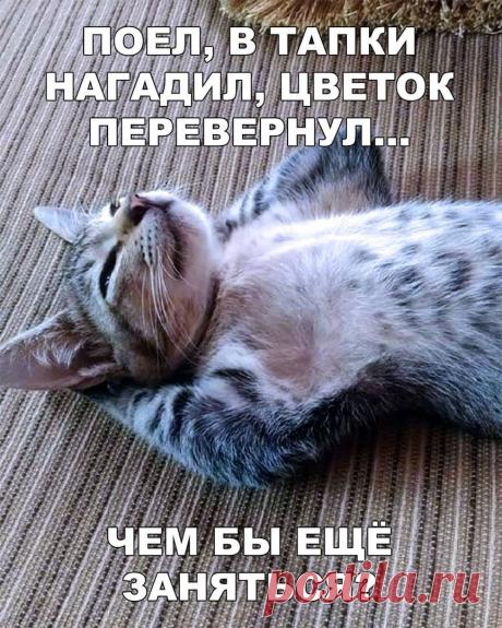 ///////////////////////////////////////////////////////////////////