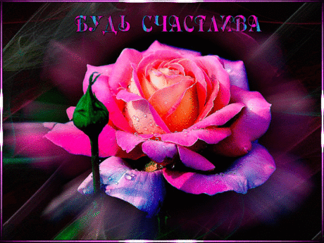 Я хочу чтобы каждую секундочку ты была счастлива! — Бесплатные поздравления