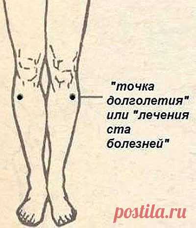 (69) Одноклассники