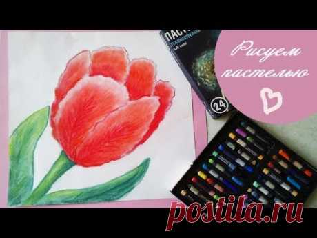DIY КАК НАРИСОВАТЬ ТЮЛЬПАН Урок рисования рисуем цветы пастелью