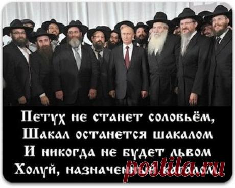 Российские политики говорят о том, что Запад уже загнил, учитывая что там происходит. Действительно, толерантность, построение быдло-мультикультурного общества ведёт к геноциду и уничтожению генофонда среди коренного населения. И сейчас это происходит среди белого европейского населения. 

Такое стало происходить и в России. Очень скоро мигрантов станет ещё больше. Начнётся война между нами и оккупантами. Они уже насилуют и убивают наших девушек. 

Нельзя допустить, чтобы ...