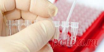 (+2) Расшифровка общего анализа крови : Лечение : Здоровье : Subscribe.Ru