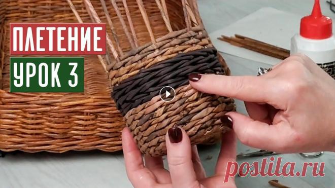 ПЛЕТЕНИЕ ⚡ УРОК №3: изучаем основные узоры / Садовый гид ПЛЕТЕНИЕ ⚡ УРОК №3: изучаем основные узоры / Садовый гид...