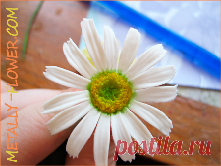 Ромашки – холодный фарфор, мастер-класс | Metally Flower
