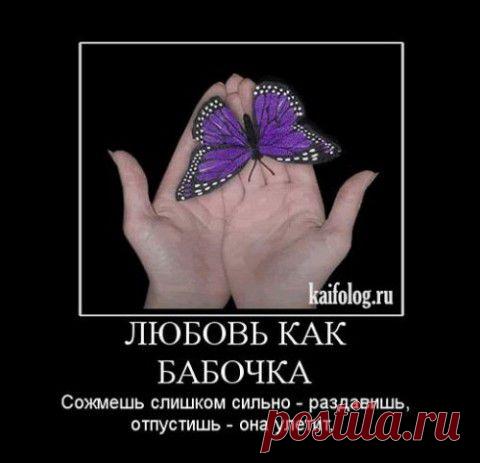 Демотиваторы на День Святого Валентина