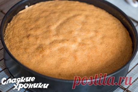 Рецепт бисквита который всегда получается: с пошаговыми фото