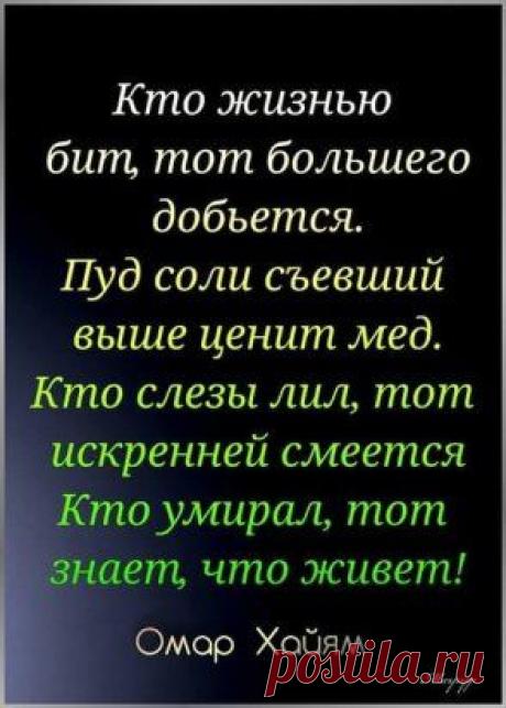 (3) Одноклассники