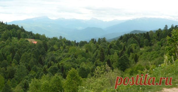 Рубрика ВОПРОС-ОТВЕТ : Цветной лишай.

Вопрос:  

